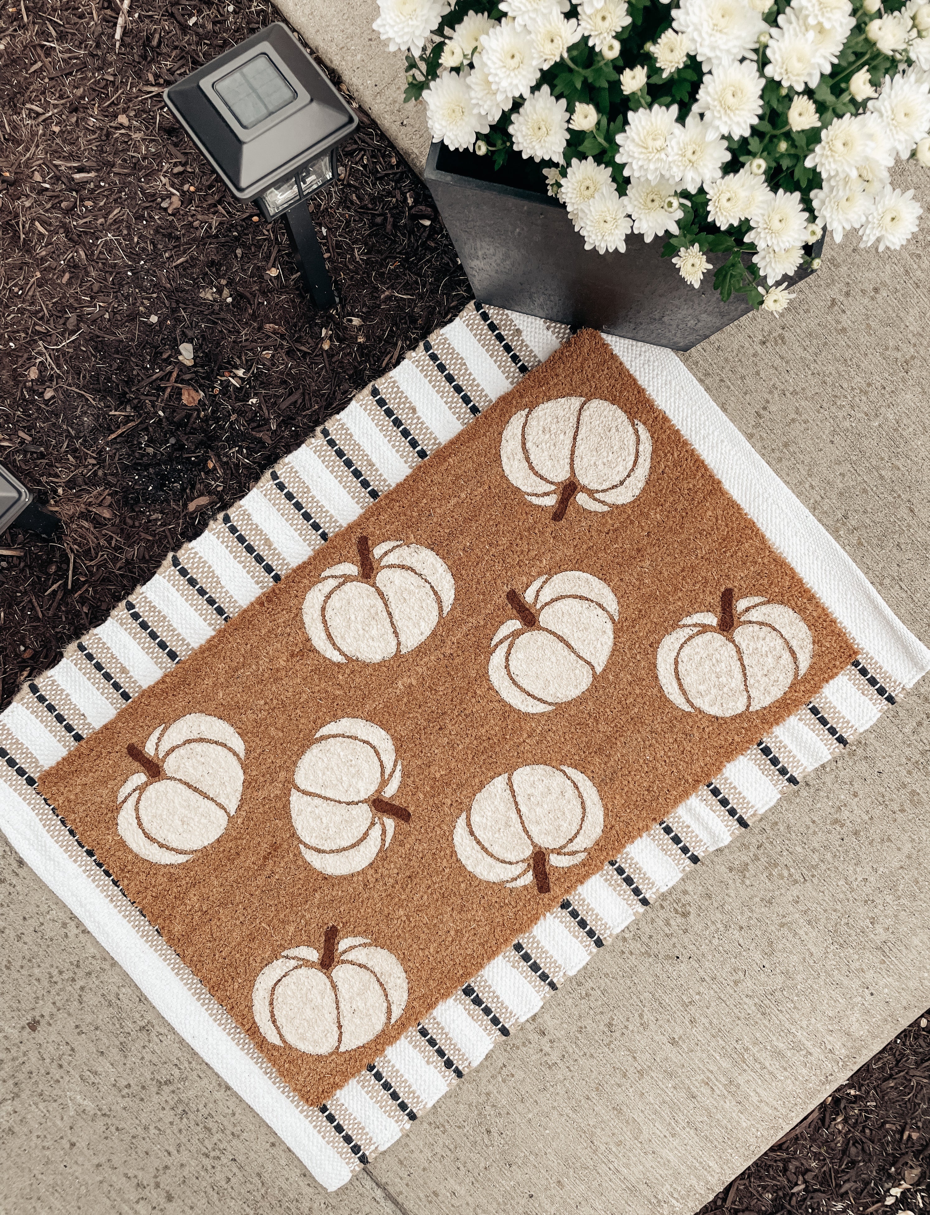 Neutral Pumpkin Pattern