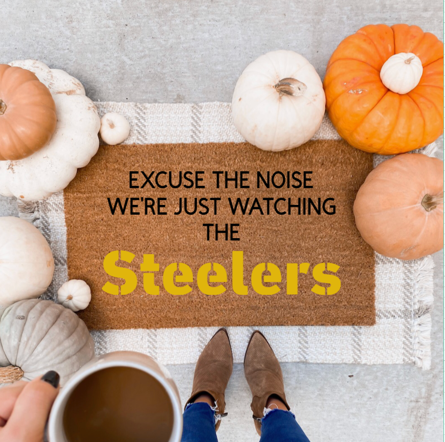 Excuse the Noise We're Just Watching the Steelers